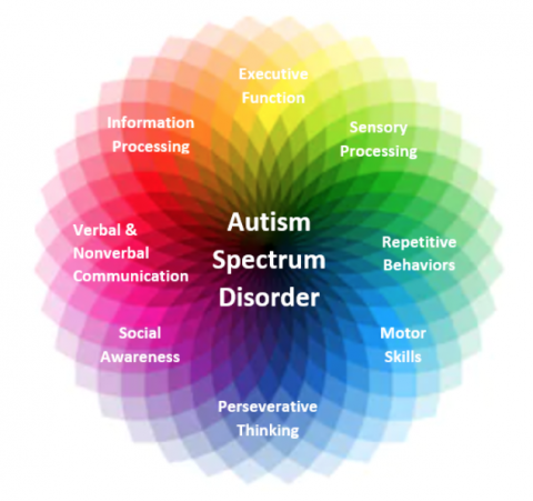 possible causes of autism